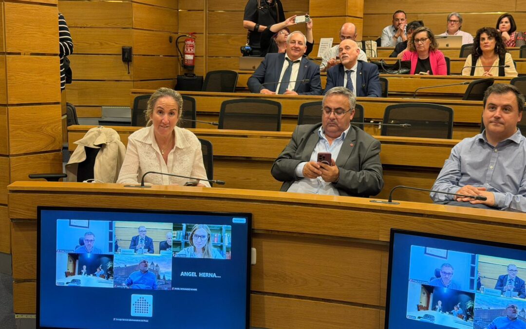 La Presidenta CAF Almería asiste en Madrid al Pleno del Consejo General tras la constitución de la nueva Junta de Gobierno